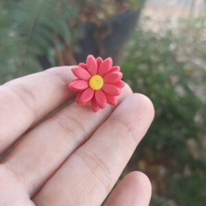 ENFEITE DE CHIMARRÃO